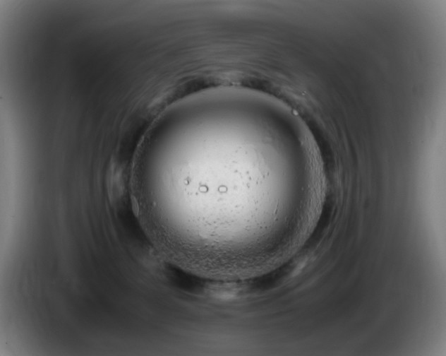 X0000086090131200703301159