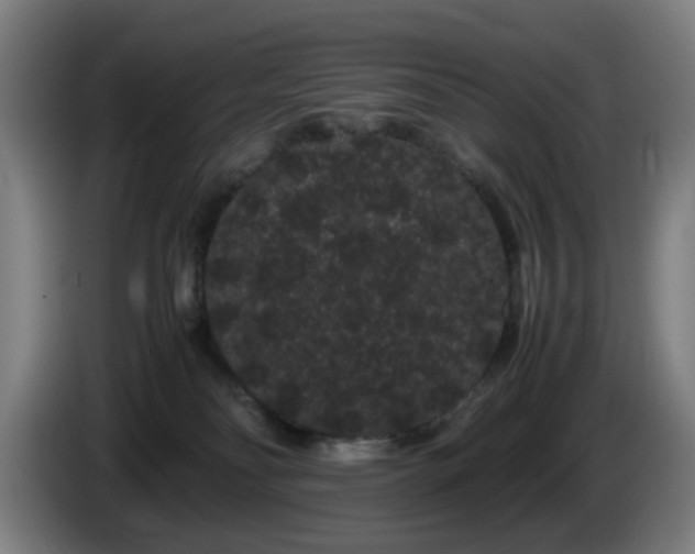 X0000086090134200703301159