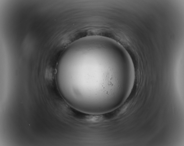 X0000086090135200703301159