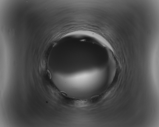 X0000086090139200703301159