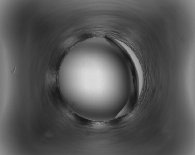 X0000086090141200703301159