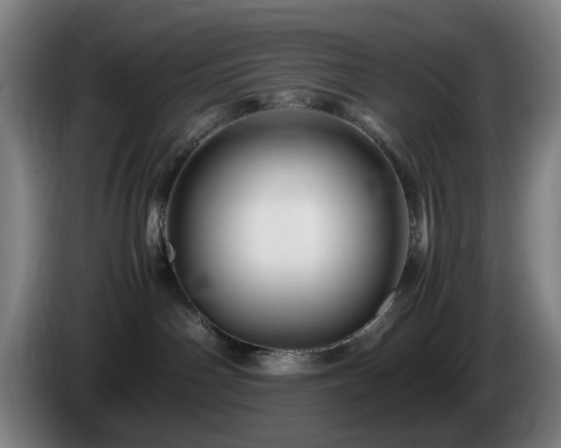 X0000086090142200703301159