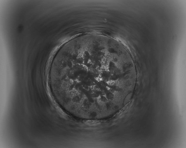 X0000086090145200703301158