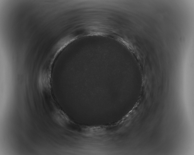 X0000086090146200703301158