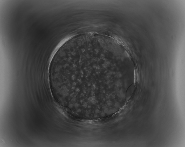 X0000086090147200703301158