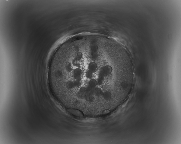 X0000086090149200703301158