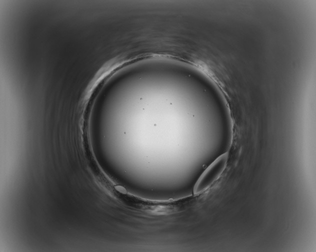 X0000086090151200703301158