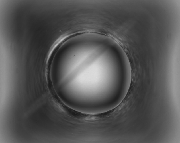 X0000086090152200703301158