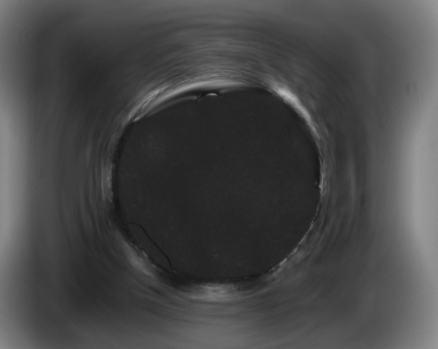 X0000086090154200703301158