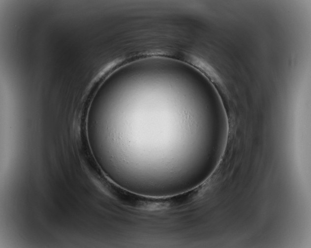 X0000086090155200703301158