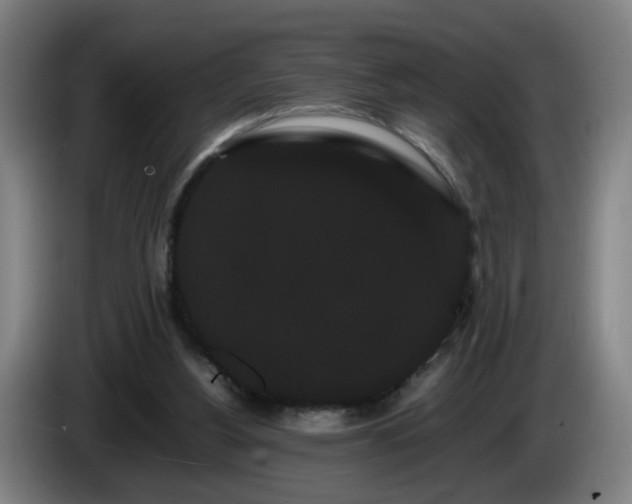 X0000086090156200703301158