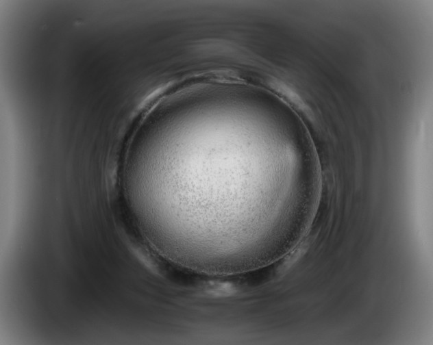 X0000086090159200703301159