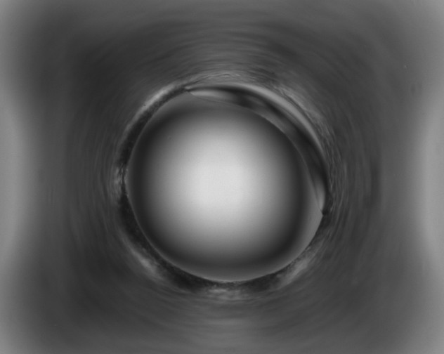 X0000086090160200703301159