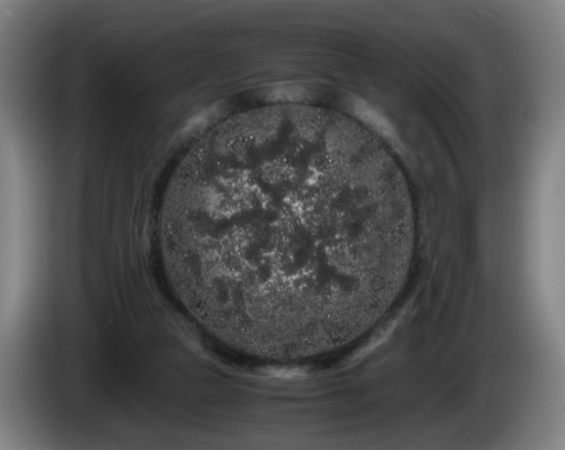 X0000086090161200703301159