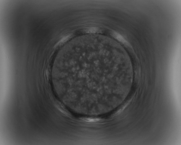 X0000086090165200703301159