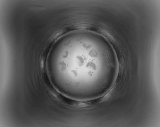 X0000086090166200703301159