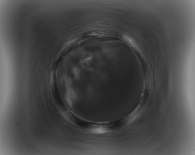 X0000086090167200703301159