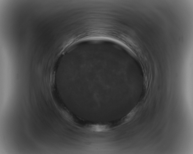 X0000086090168200703301159