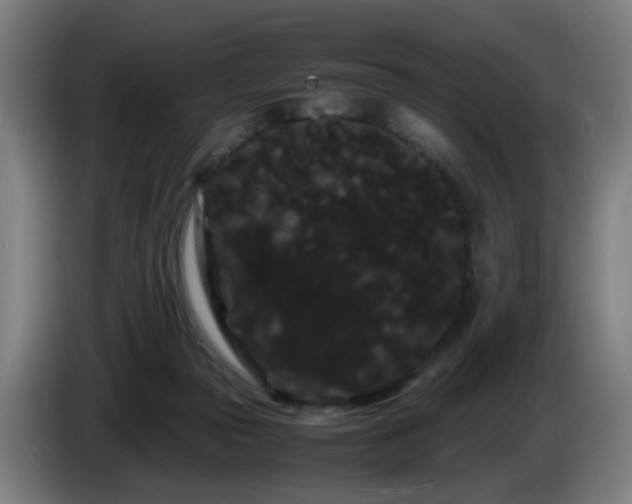 X0000086090169200703301159