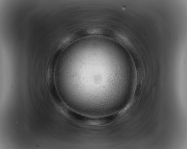 X0000086090171200703301159