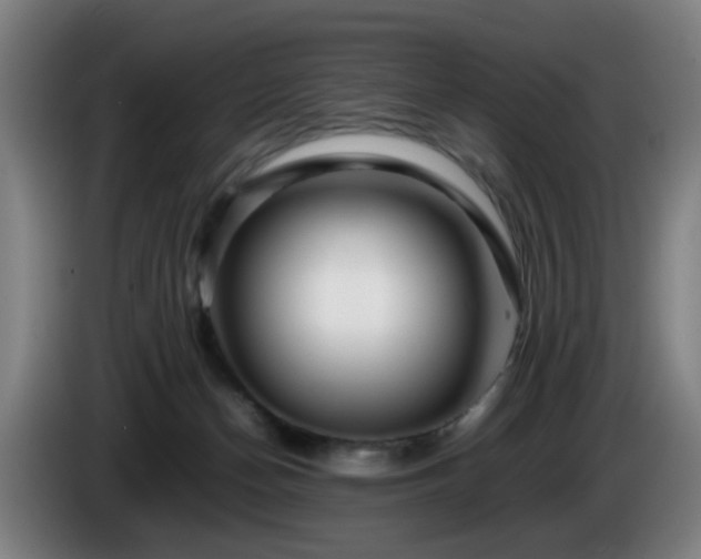 X0000086090174200703301159