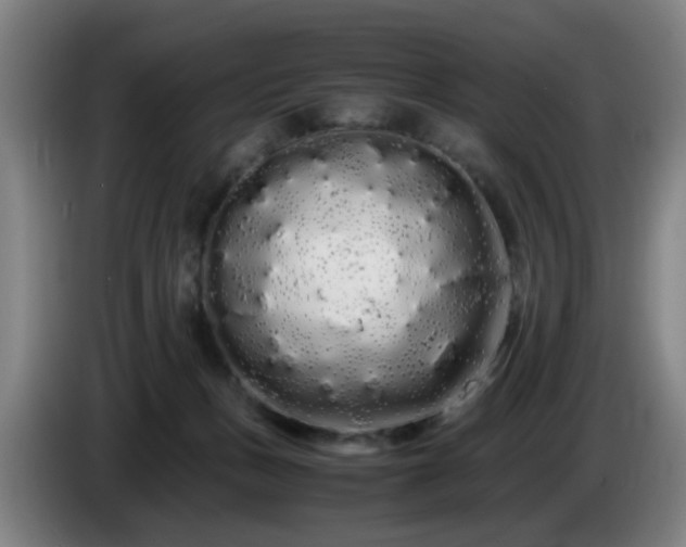 X0000086090175200703301159