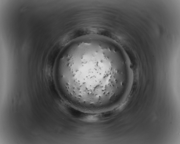 X0000086090178200703301159