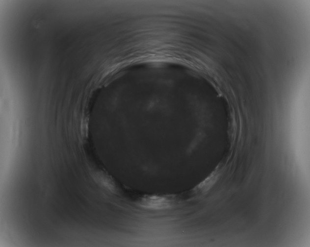 X0000086090180200703301159