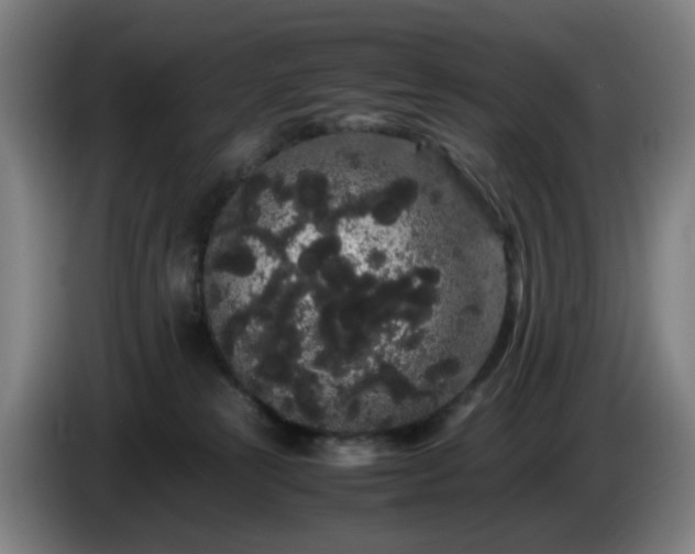 X0000086090181200703301159