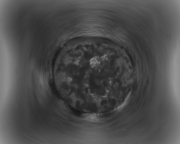 X0000086090182200703301159