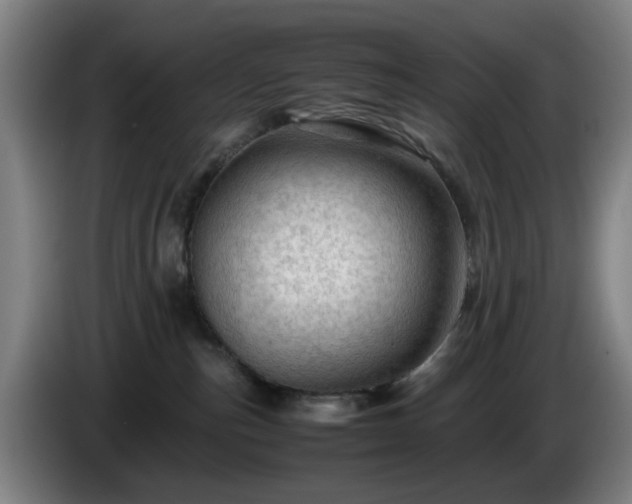 X0000086090187200703301159