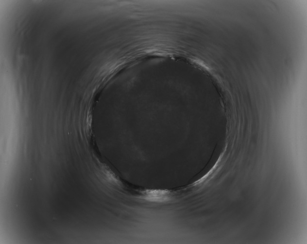 X0000086090192200703301159