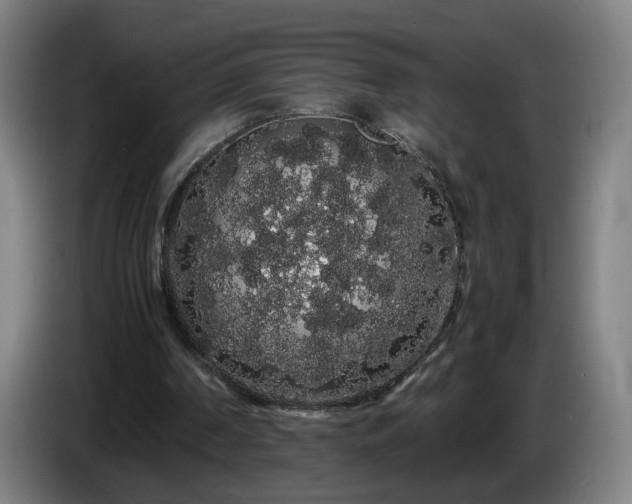 X0000086090194200703301158