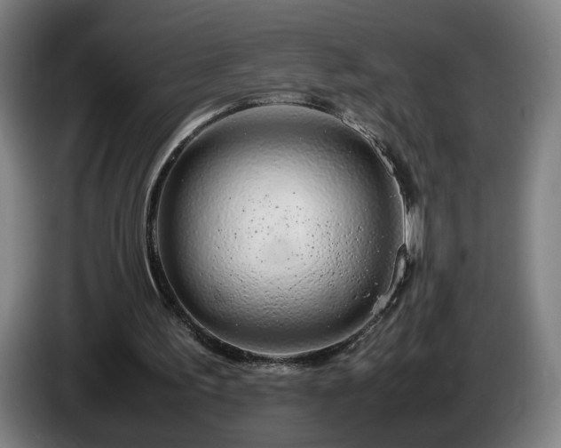 X0000086090195200703301158