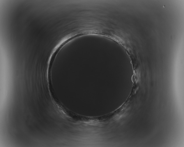 X0000086090196200703301158