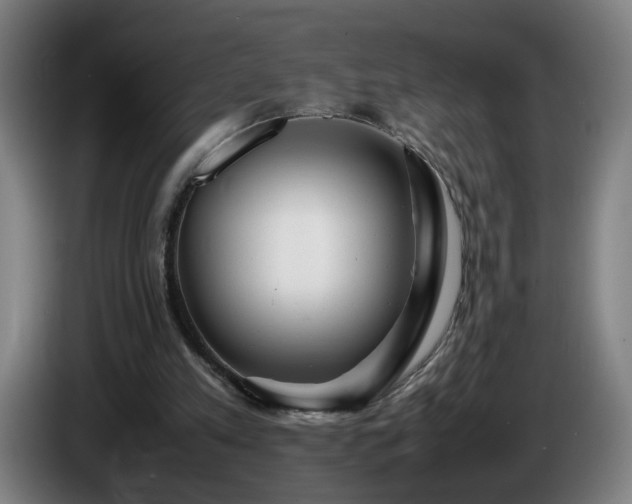 X0000086090197200703301158