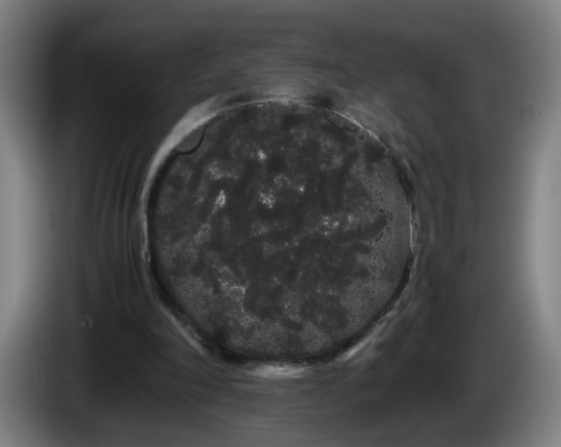 X0000086090198200703301158