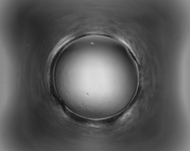 X0000086090199200703301158