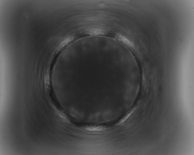 X0000086090202200703301158