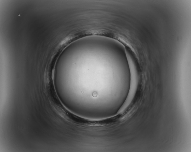 X0000086090203200703301158