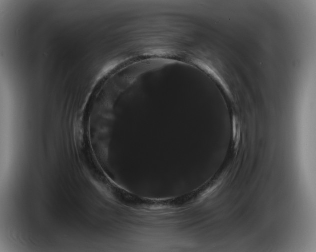 X0000086090204200703301158