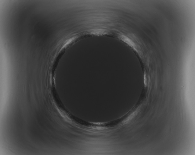 X0000086090205200703301158