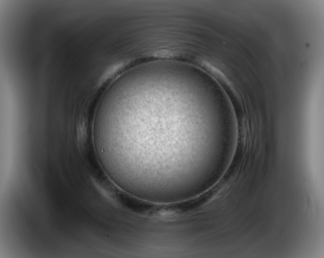 X0000086090208200703301158