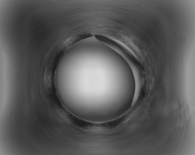 X0000086090209200703301158