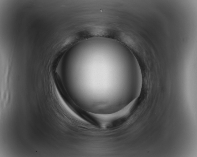 X0000086090211200703301158