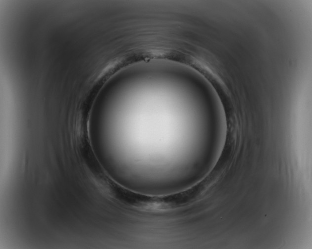 X0000086090212200703301158