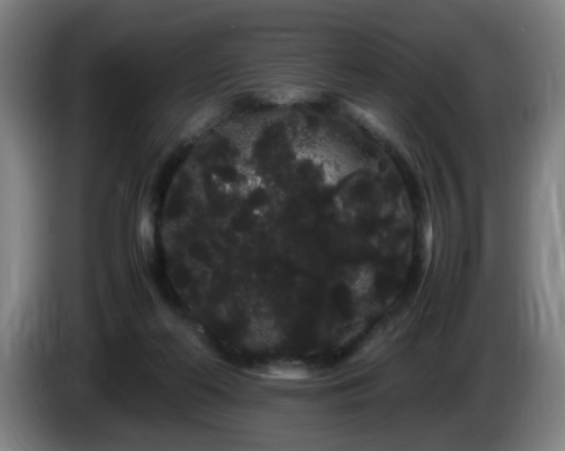 X0000086090214200703301158