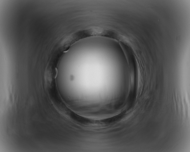 X0000086090215200703301158