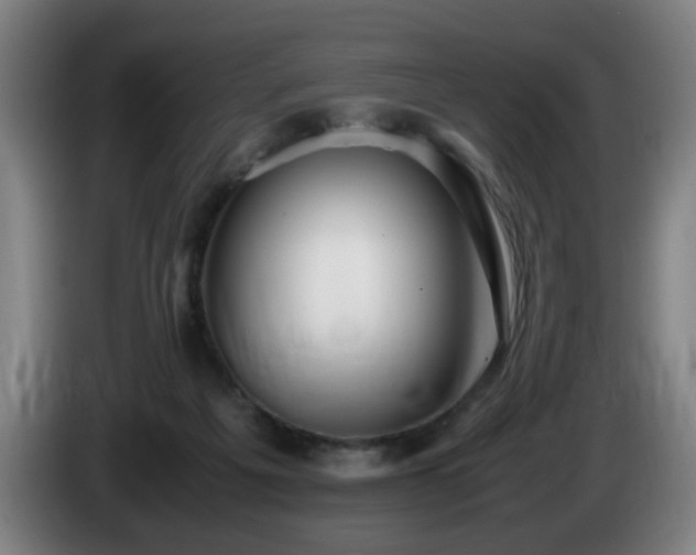 X0000086090217200703301158