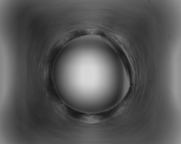 X0000086090221200703301158